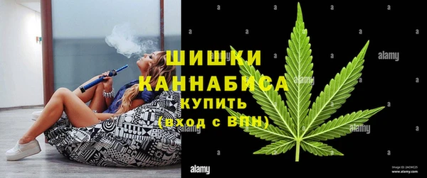 амф Касимов