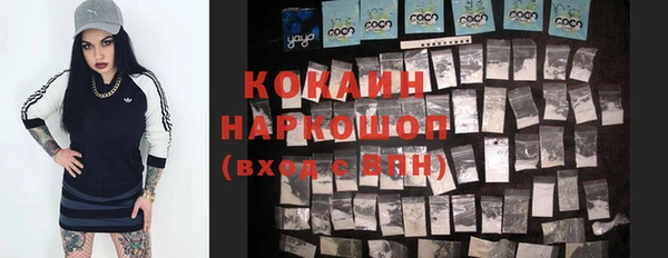 эйфоретик Карпинск