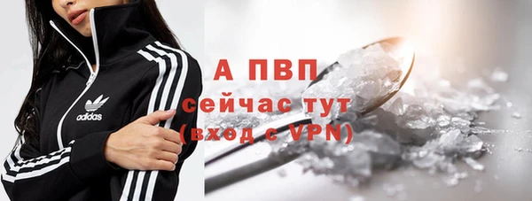 ПСИЛОЦИБИНОВЫЕ ГРИБЫ Киренск