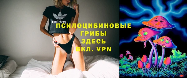 ПСИЛОЦИБИНОВЫЕ ГРИБЫ Киренск