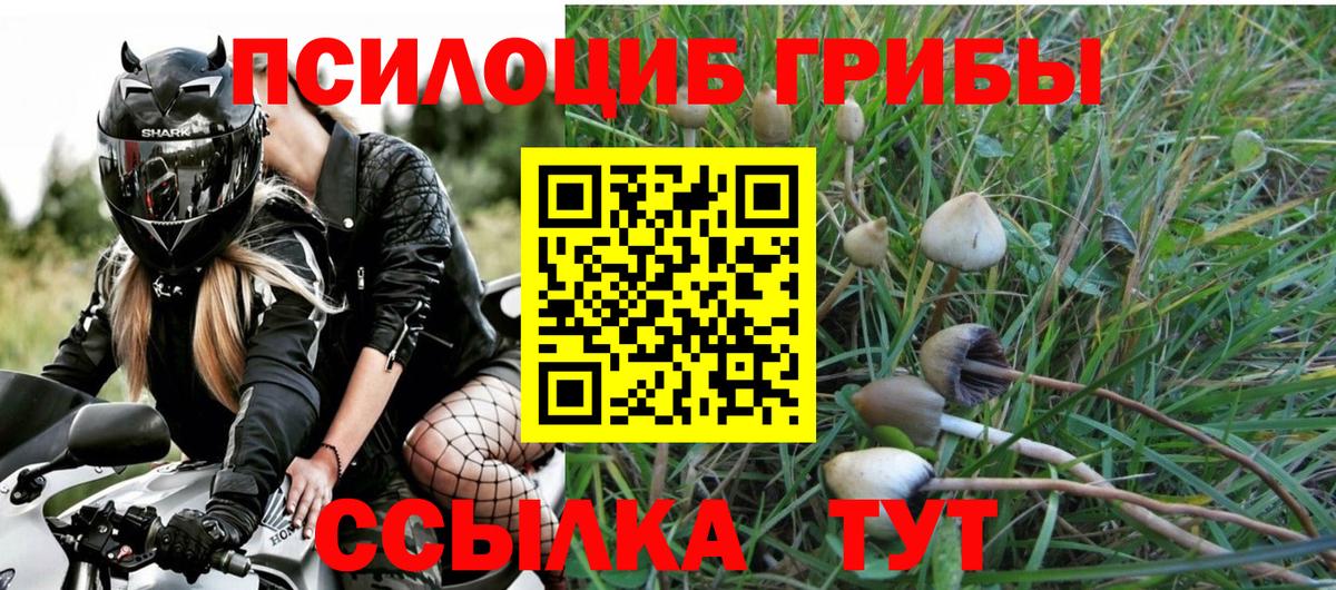 Псилоцибиновые грибы Заречный