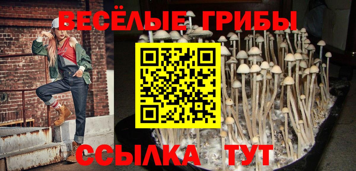 Псилоцибиновые грибы прущие грибы Заречный